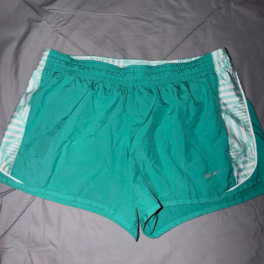 Nike Men's Green and Blue Shorts